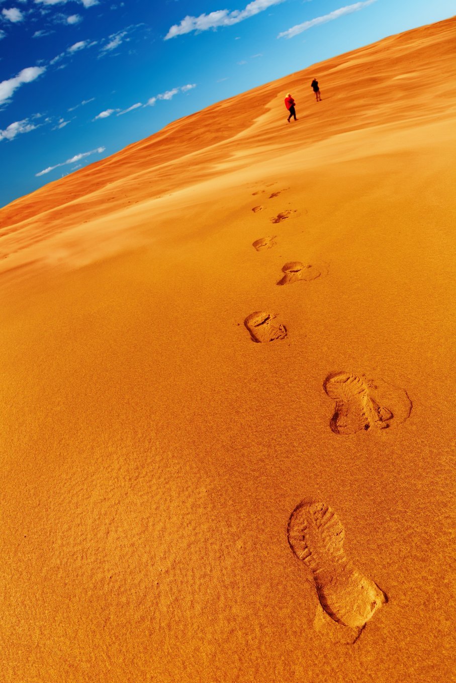 People in desert