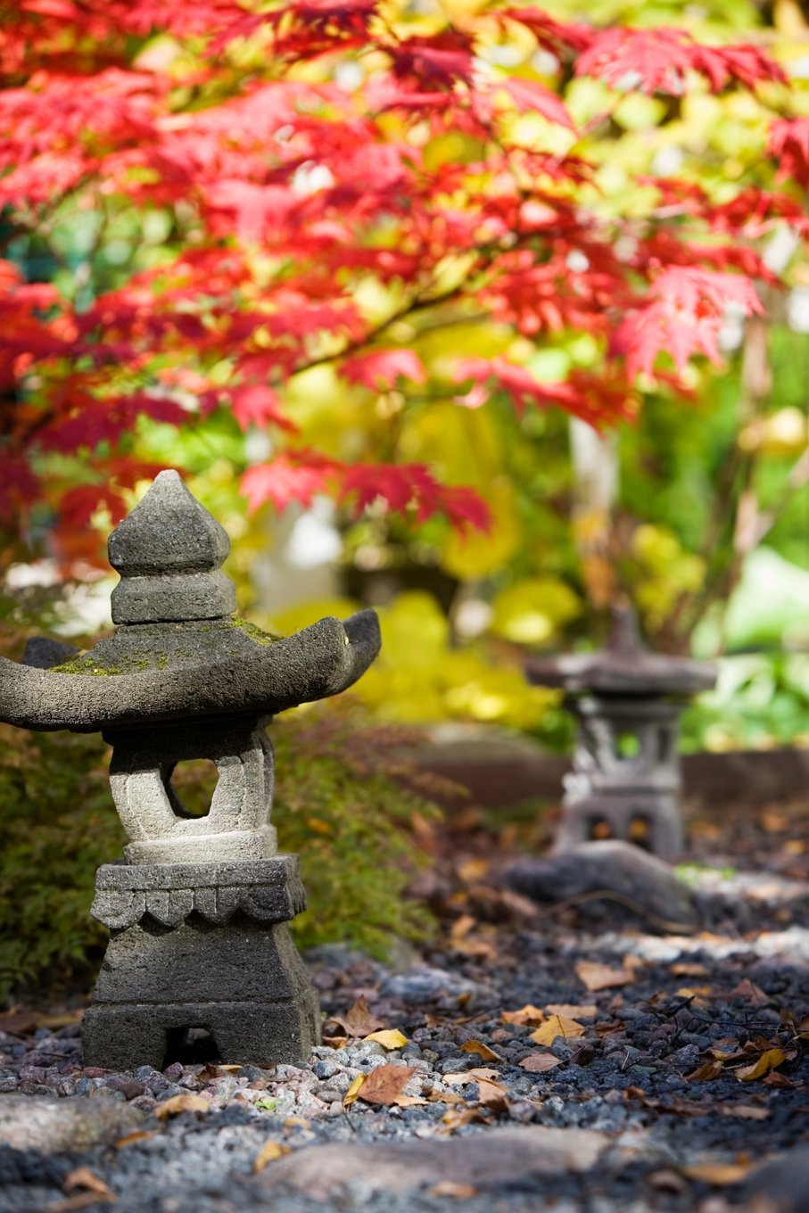 zen (1)